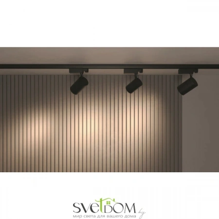 TR029-3-30W3K-B Maytoni