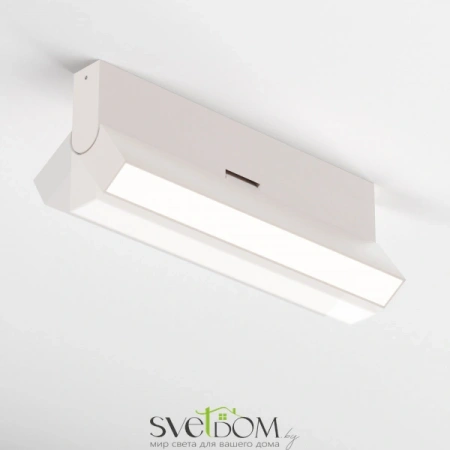 Потолочные светильники Maytoni C133CL-12W4K-W от Магазина Svetdom.by