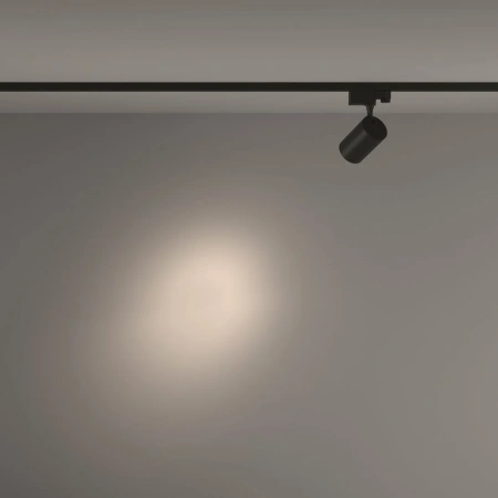 TR029-3-10W4K-S-B Maytoni