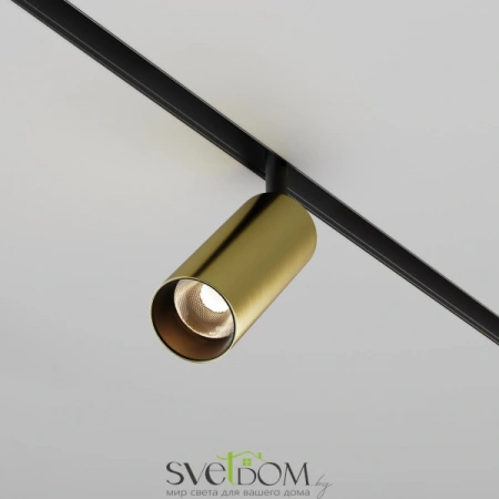 TR032-2-12W3K-M-BBS Maytoni