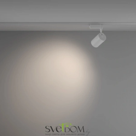 TR003-1-26W4K-W-W Maytoni