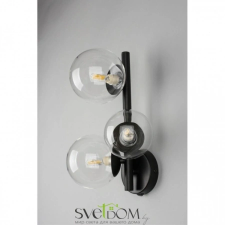 Бра APL.334.01.03 Aployt | Svetdom.by