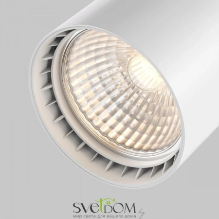 TR003-1-10W3K-S-W Maytoni