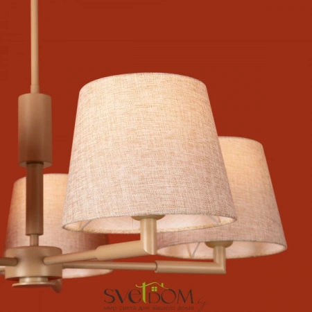 Подвесные светильники Freya FR2057PL-05BG от Магазина Svetdom.by