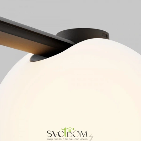 TR236-1-5W3K-B Maytoni