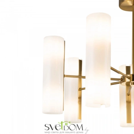 Потолочные светильники Freya FR5368CL-14BS от Магазина Svetdom.by