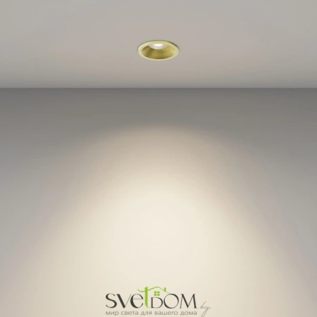 Встраиваемые светильники Maytoni DL059-7W3K-BS от Магазина Svetdom.by