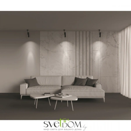 Фото Потолочные светильники Maytoni C020CL-01B Потолочные светильники Maytoni C020CL-01B от Магазина Svetdom.by