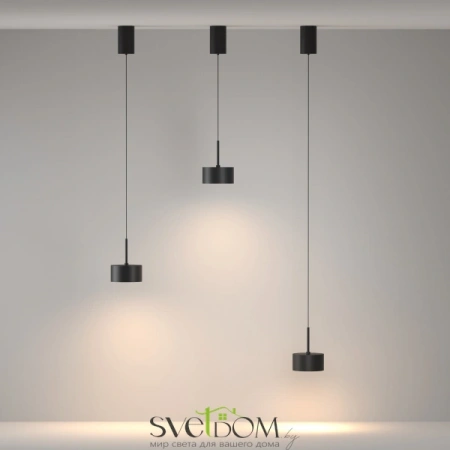 Подвесные светильники Maytoni P102PL-12W3K-B от Магазина Svetdom.by