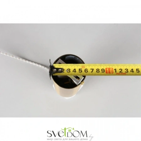Подвесные светильники Aployt APL.057.06.12 от Магазина Svetdom.by