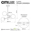 Люстры на штангеCL146243 CITILUX | Svetdom.by