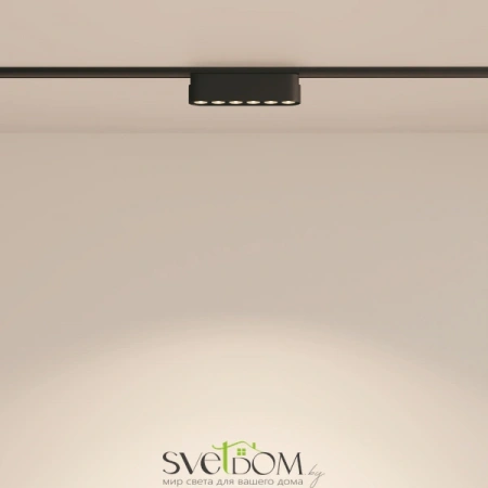 TR082-1-6W4K-M-B Maytoni