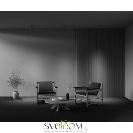 Потолочные светильники Maytoni C056CL-L12W2.7K-W-PT от Магазина Svetdom.by