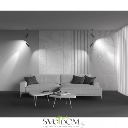 Потолочные светильники Maytoni C021CL-02B от Магазина Svetdom.by