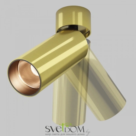 Потолочные светильники Maytoni C055CL-L12W2.7K-W-BS от Магазина Svetdom.by