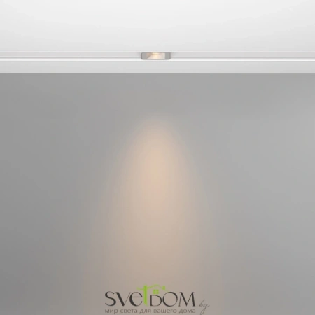Трековый светильник Technical TR100-2-2W3K-S-W Maytoni