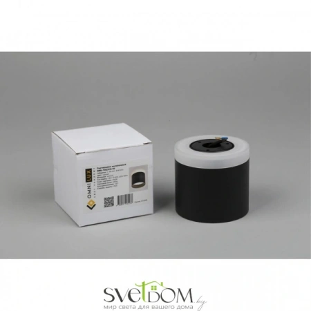 Накладные светильники Omnilux OML-102319-16 от Магазина Svetdom.by