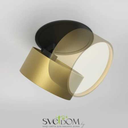 Встраиваемые светильники Maytoni DL024-12W3K-BMG от Магазина Svetdom.by