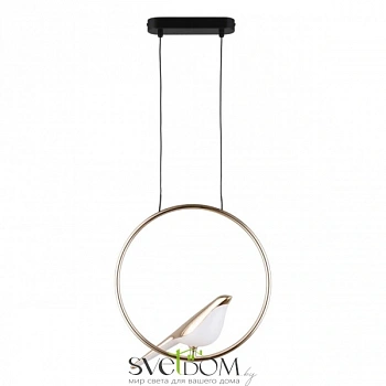 Светильник подвесной Aployt  APL.822.06.10