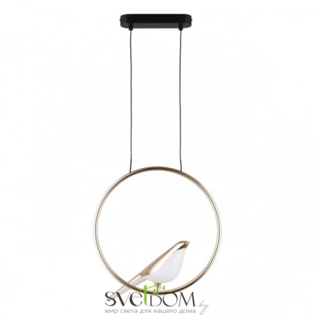 Фото Подвесные светильники Aployt APL.822.06.10 Подвесные светильники Aployt APL.822.06.10 от Магазина Svetdom.by