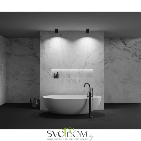 Потолочные светильники Maytoni C029CL-01B от Магазина Svetdom.by