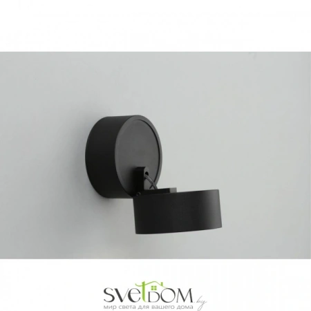 Накладные светильники Omnilux OML-101319-12 от Магазина Svetdom.by