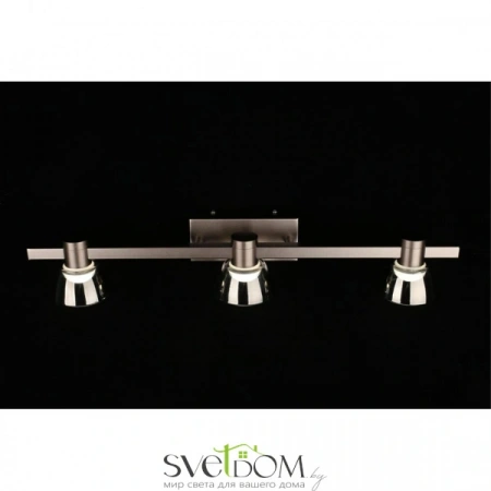 Настенные светильники APL.788.01.03 Aployt | Svetdom.by