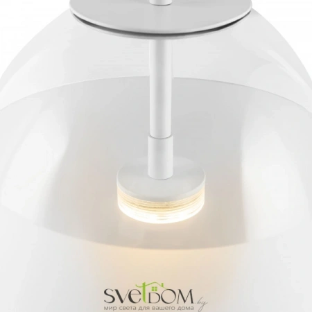 Подвесные светильники Maytoni P072PL-L5W3K от Магазина Svetdom.by