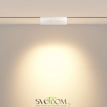Трековый светильник Technical TR033-4-12WTW-DD-W Maytoni