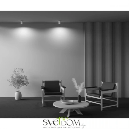 Потолочные светильники Maytoni C003CW-01W от Магазина Svetdom.by