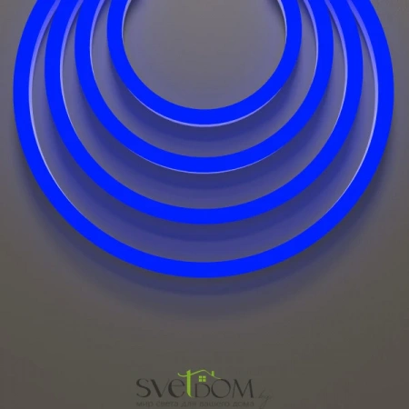 Гибкий неон 25x13 220В 8Вт/м Blue IP65 50м | Svetdom.by