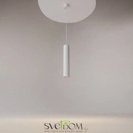 Подвесные светильники Maytoni P082PL-GU10-W от Магазина Svetdom.by