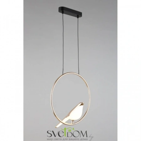 Фото Подвесные светильники Aployt APL.822.06.10 Подвесные светильники Aployt APL.822.06.10 от Магазина Svetdom.by