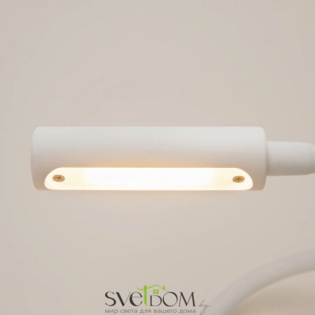 Настенные светильники C035WL-L3W3K Maytoni | Svetdom.by