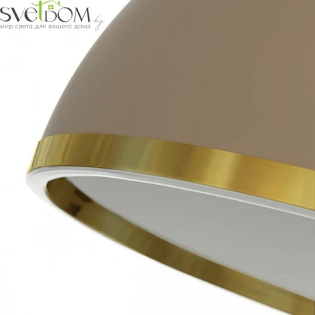 Потолочные светильники CITILUX CL736152 от Магазина Svetdom.by