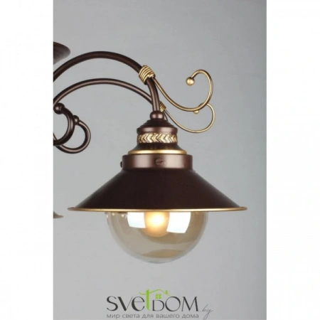 Люстры потолочныеOML-50407-05 Omnilux | Svetdom.by