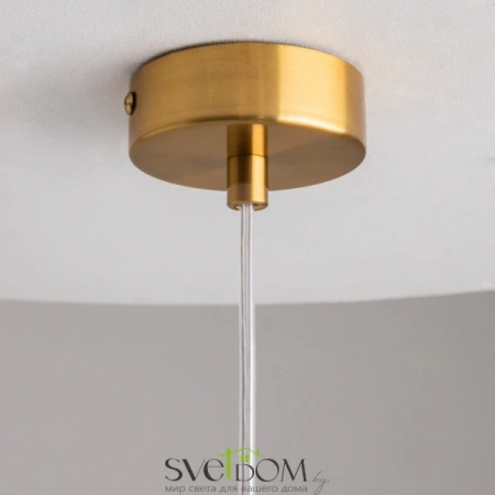 Подвесные светильники Maytoni P095PL-01BZ от Магазина Svetdom.by