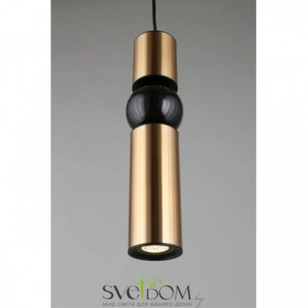 Подвесные светильники Aployt APL.615.16.01 от Магазина Svetdom.by