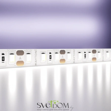 Светодиодная лента 12В 2835 14,4Вт/м 6000K 5м IP20 10116