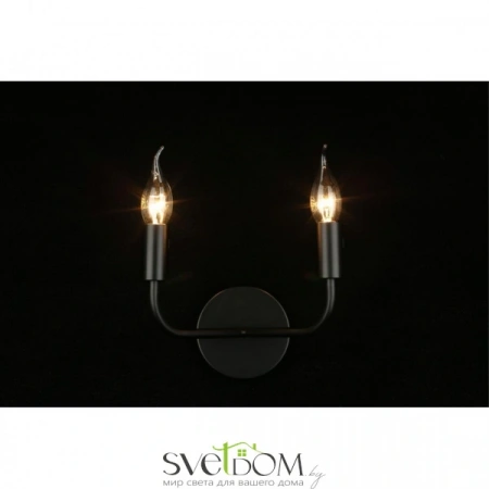 Настенные светильники APL.338.11.02 Aployt | Svetdom.by