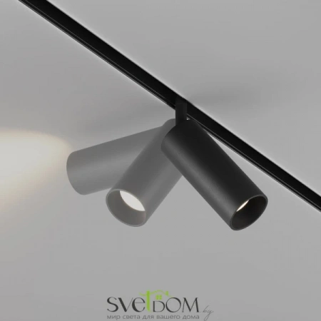 TR032-2-12W3K-S-B Maytoni