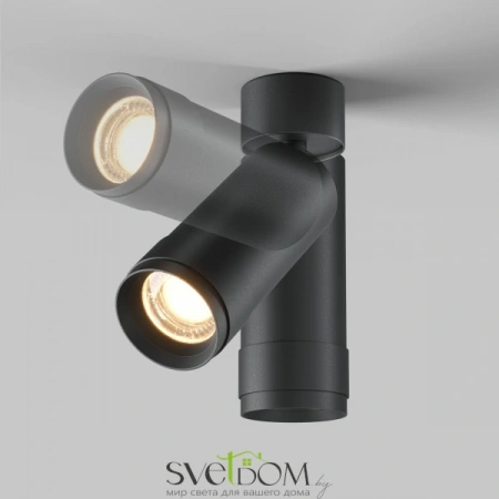 Потолочные светильники Maytoni C055CL-L12W3K-Z-B от Магазина Svetdom.by