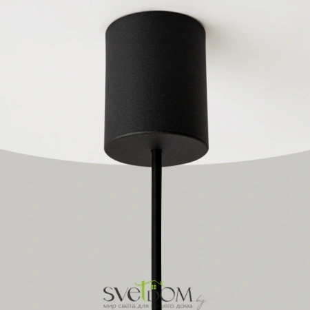 Подвесные светильники Maytoni MOD255PL-01B2 от Магазина Svetdom.by