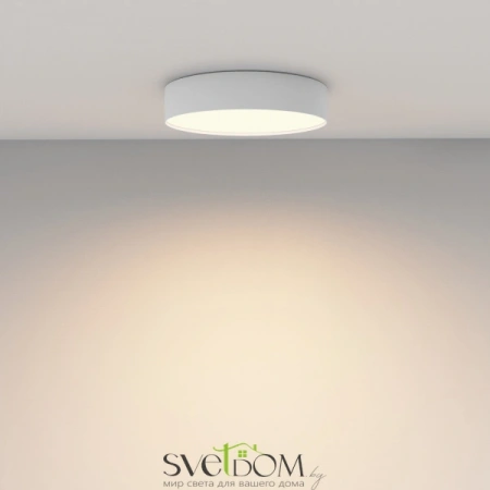 Потолочные светильники Maytoni C032CL-36W3K-RD-W от Магазина Svetdom.by