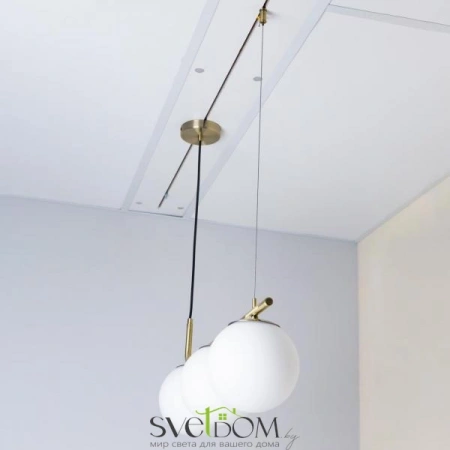 Люстры подвесныеCL112133 CITILUX | Svetdom.by