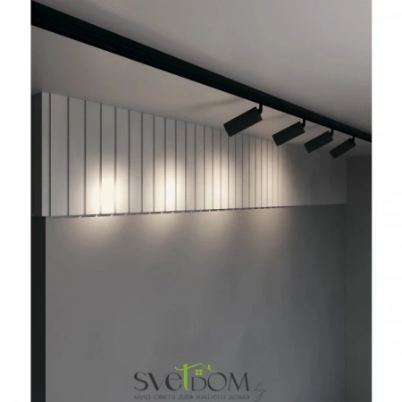 TR032-2-20W3K-S-B Maytoni