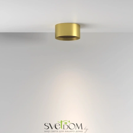 Потолочные светильники Maytoni C122CL-L7-3K-BS от Магазина Svetdom.by