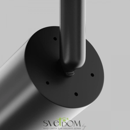 Потолочные светильники Maytoni C018CL-01B от Магазина Svetdom.by