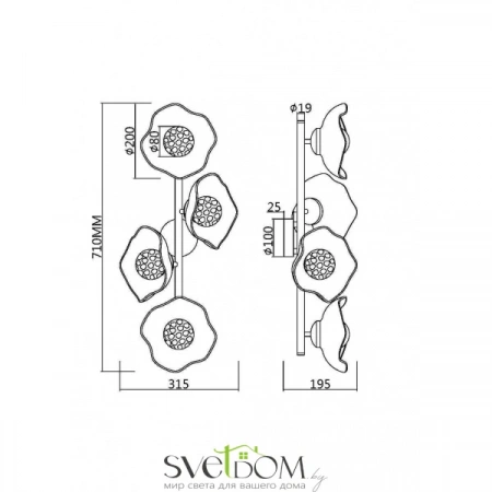 Настенные светильники MOD207WL-04BS Maytoni | Svetdom.by