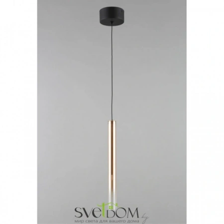 Подвесные светильники Aployt APL.059.06.04 от Магазина Svetdom.by